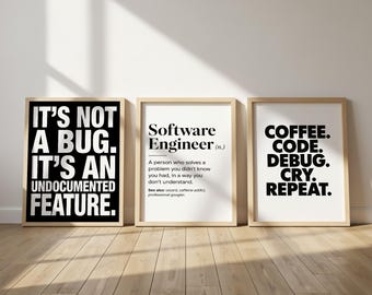 Rolig programmerare presentset med 3, affisch för mjukvaruingenjör, dekoration för teknikkontoret, väggkonst med kodingshumor, present till IT-avdelningen, konst för datavetenskap