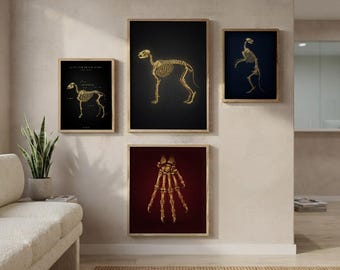 Veterinärklinikdekor Set med 4 vintageposters för djuranatomi, veterinärtekniker, gåva, hund- och kattskelett, väggkonst, djursjukhus, utskrivbara material