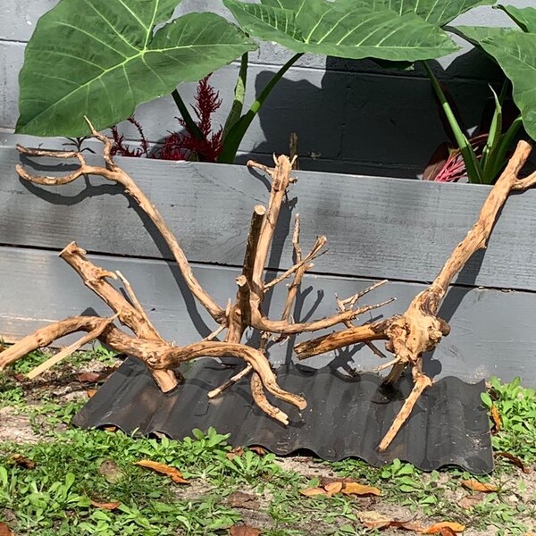 Large Driftwood Etsy