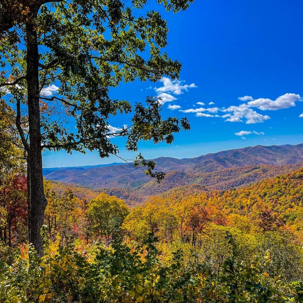 Blue Ridge Mountains in the Fall | Autumn on the East Coast | Digital Download Art | Printable Photography | Landscape Photography | Nature