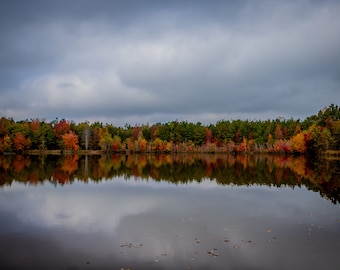 Minimalist Fall Decor | Reflection Photography | Fall Foliage over the Lake | Lake at Fall | Water Reflection Image | Instant Download Photo