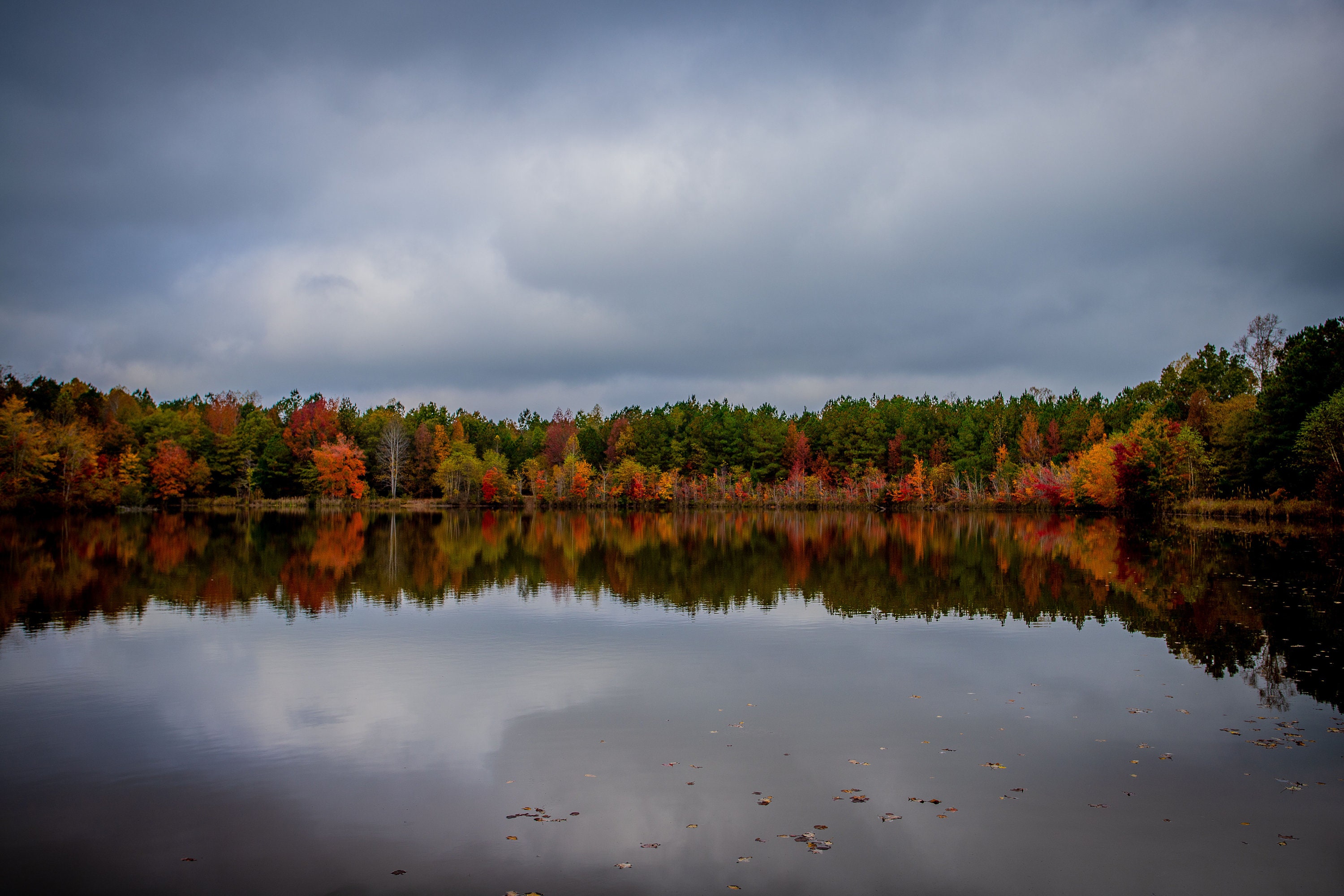 Fall Water Reflections Minimalist Fall Decor | Reflection Photography | Fall Foliage Over the ...
