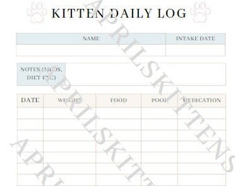 Foster Kitten - Etsy