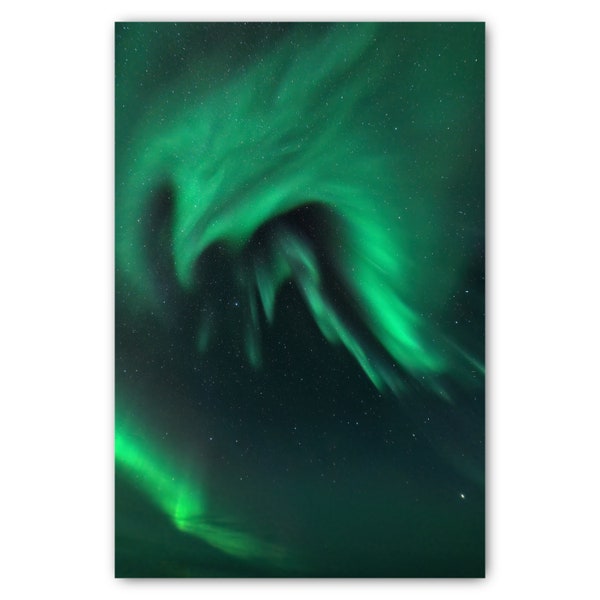 Der Drache - Hochauflösende Aurora Borealis Fotografie gedruckt auf Alu-Dibond