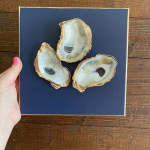 Coastal Wall Hanging, 8 x 8 Oyster Wall Art, Canvas Wall Art, Coastal Interior Design, Coastal Aesthetic, Beach House artwork, Coastal Vibes