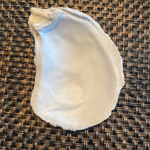 May include: A large, white oyster shell with a smooth, pearlescent interior and a rough, textured exterior. The shell has an irregular shape and is set against a woven background.