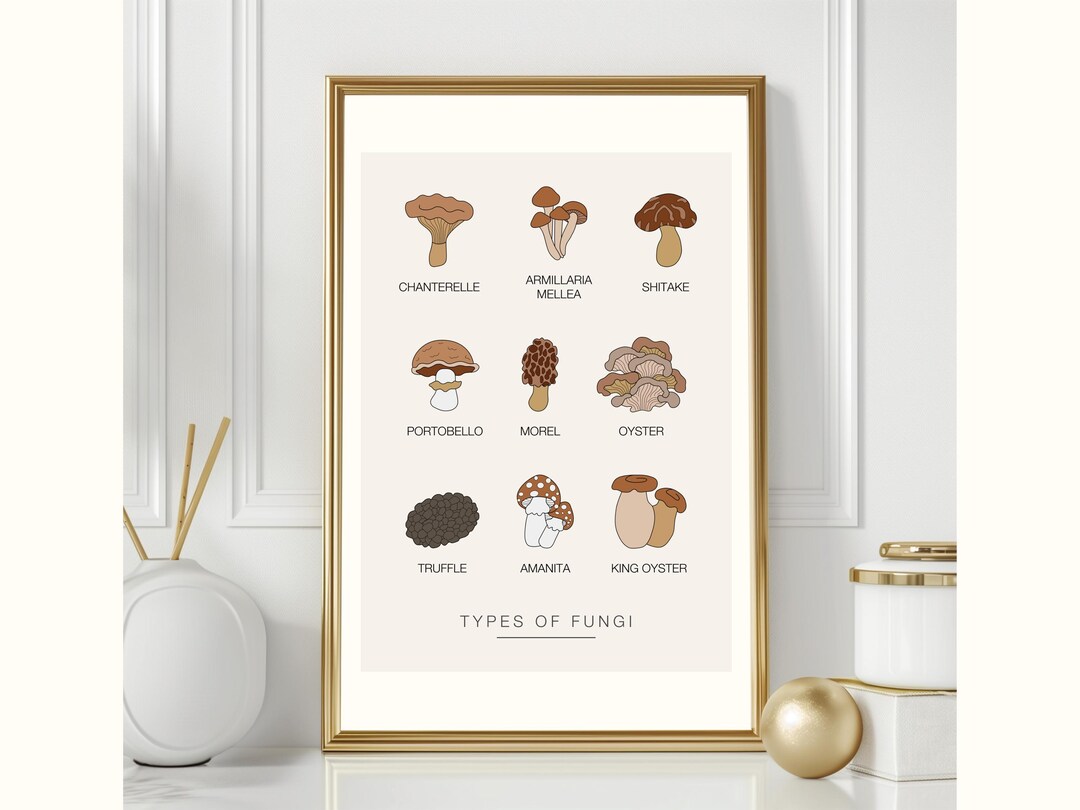 Mushroom Motif Wall Art, Types of Fungi, Printable Digital Download ...