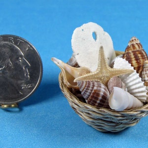 Mini Woven Basket of 20+ Seashells w/starfish, sand dollar & sand - 1 3/8&quot;D. 5/8&quot; H. 1:12 tiny dollhouse decor, beach accessory, shell art