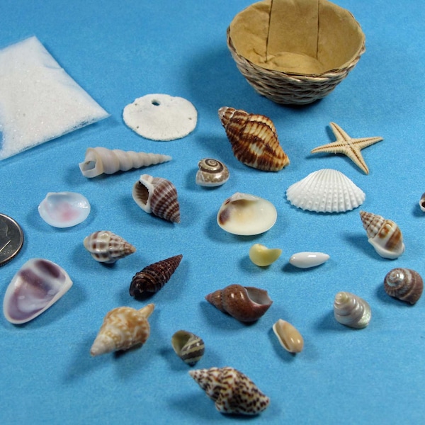 Mini Woven Basket of 20+ Seashells w/starfish, sand dollar & sand - 1 3/8"D. 5/8" H. 1:12 tiny dollhouse decor, beach accessory, shell art