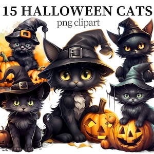 Clipart chats d'Halloween PNG sorcières chat noir Clipart animal fantastique Halloween chatons effrayants png citrouille Transparent Clipart Instant Download