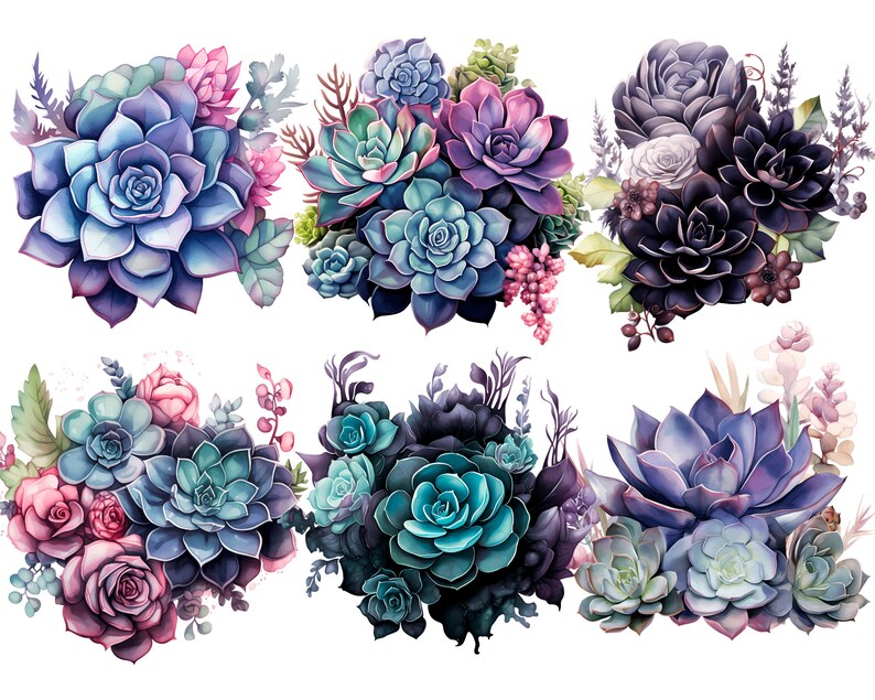 Succulents Clipart Watercolor PNG Plants Clipart Botanical Flowers ...