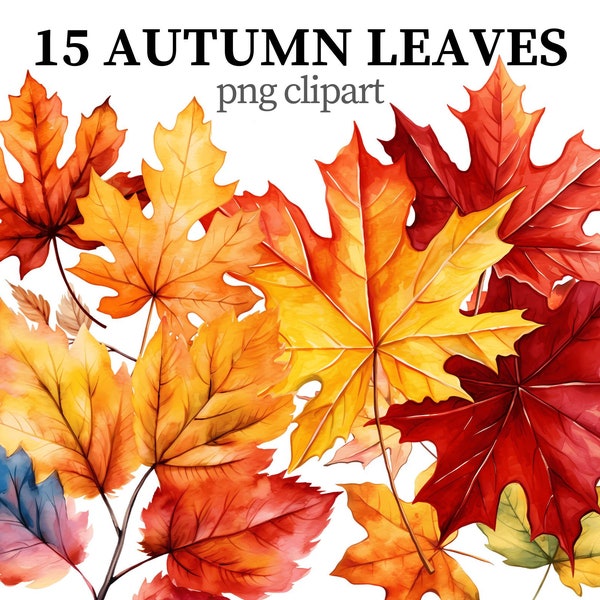 Autumn Leaves Clipart Maple PNG Fall Leaves Watercolor png Leaves and Brunches Fall decor Golden Autumn Scrapbook Paper craft Card making