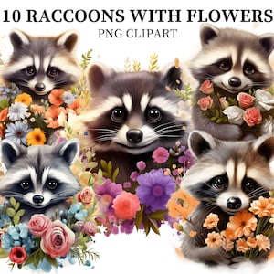 Images clipart de raton laveur avec des fleurs, clipart de dessin animé PNG mignon pour les enfants, images de bébé raton laveur adorable, fabrication de cartes animalier, création de papier
