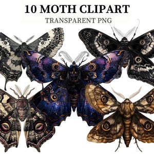 Motte Clipart Schmetterlinge PNG Mystische Motte Nachtschmetterling Insekt Clipart Motte Digitaler Download Scrapbook Papercraft Nachtfliegen png