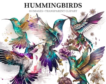 Clipart de colibrí en acuarela: conjunto de aves tropicales PNG (descarga digital)