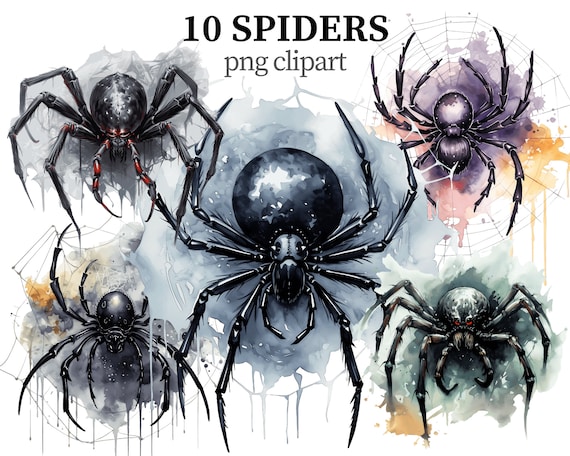 Watercolor Spider Clipart: Gothic Halloween PNG Images (Digital Download)