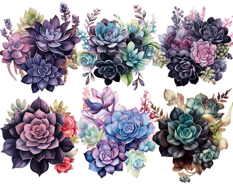 Succulents Clipart Watercolor PNG Plants Clipart Botanical Flowers ...