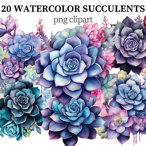Suculentas Clipart Acuarela PNG Plantas Clipart Flores Botánicas Imprimir Suculentas png Plantas de Interior Scrapbooking Papel artesanal Fabricación de tarjetas