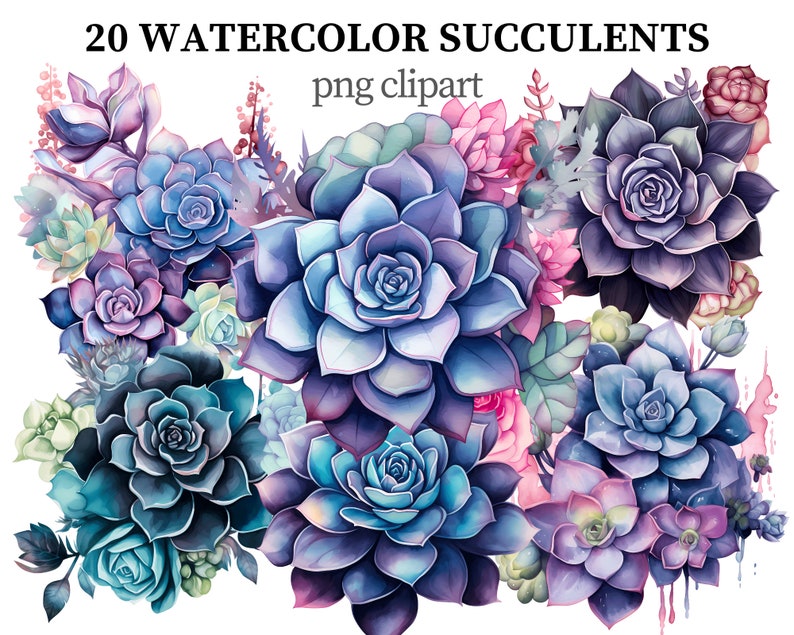 Succulents Clipart Watercolor PNG Plants Clipart Botanical Flowers ...