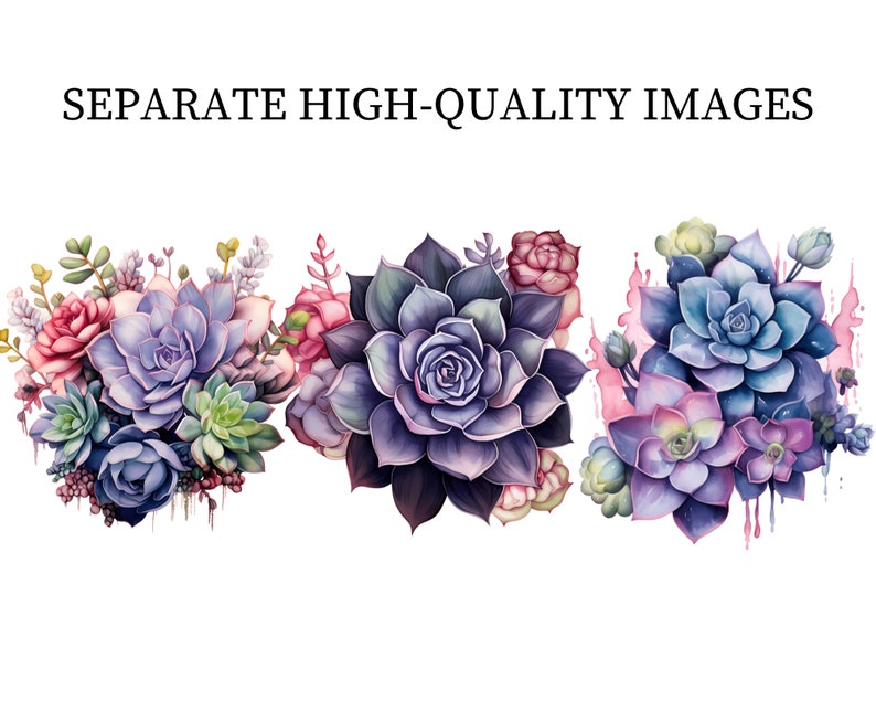 Succulents Clipart Watercolor PNG Plants Clipart Botanical Flowers ...