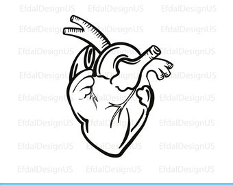 Anatomical Heart Svg - Etsy Canada Anatomical Heart Svg - Etsy Canada