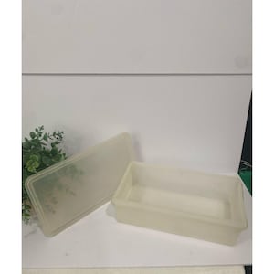 May include: A rectangular, translucent plastic container with a matching lid. The container is open, revealing its interior. The lid is placed to the side. The container is a light, off-white color.