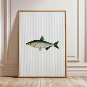 Sardines Wall Print, Trout Fish Kitchen Wall Art, Trendy Seafood Print, Fisherman Aesthetic Wall Print, Dining Room Decor, Striped Print