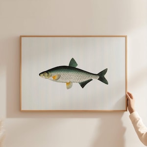 Sardines Wall Print, Trout Fish Kitchen Wall Art, Trendy Seafood Print, Fisherman Aesthetic Wall Print, Dining Room Decor, Striped Print