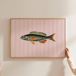 Sardines Wall Print, Trout Fish Kitchen Wall Art, Trendy Seafood Print, Fisherman Aesthetic Wall Print, Dining Room Decor, Striped Print