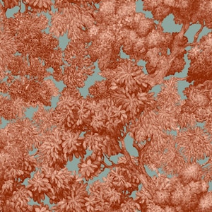 Carta da parati elegante con squisito motivo floreale, Decorazione murale lussuosa per interni sofisticati, Ignifuga, Ecologica, Senza PVC, Design