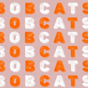 Bobcats PNG, Schulmaskottchen Png, Orange und Weiß Bobcat, Schulfarben, Schulgeist, Teamgeist, Schulmaskottchen, Sublimations-Download, DTF
