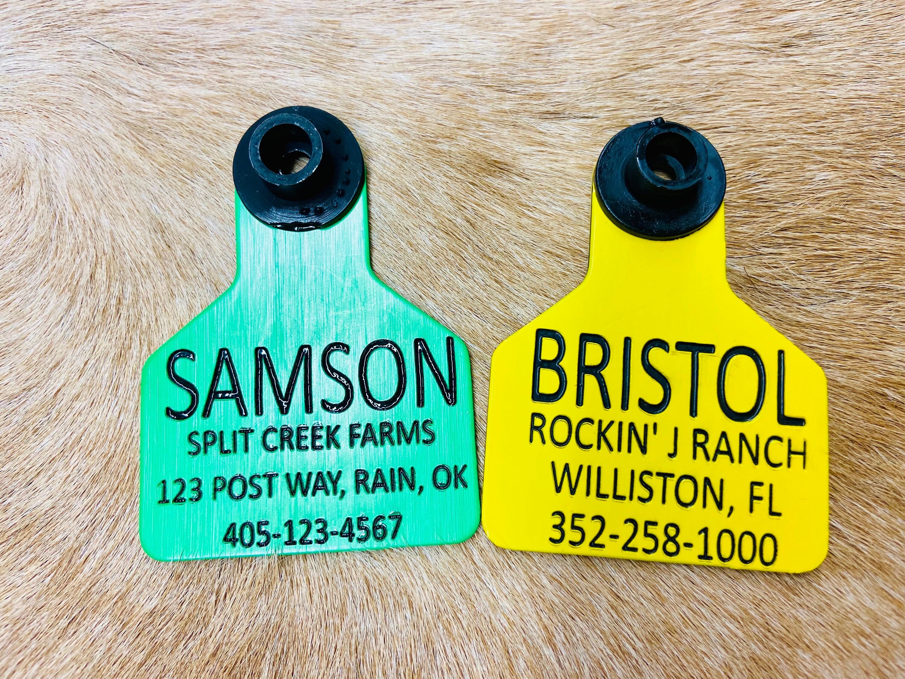 Storm Emergency Horse ID Tag, Engraved Plastic, Hurricane ID tag, Horse name tag, halter tag, Ritchey Tags, emergency tags for horses