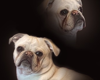 Personalized 80's Double Exposure Digital Pet Portrait