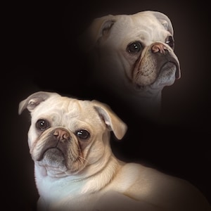 Personalized 80&#39;s Double Exposure Digital Pet Portrait