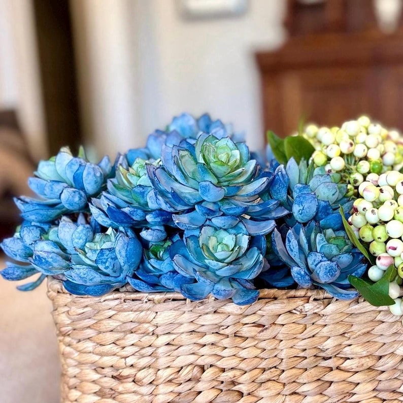 Faux Echeveria Succulent Bush: Blue with Sage Center, 8" Tall image 1