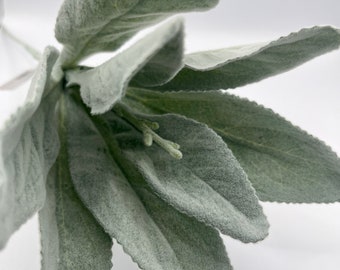 Artificial Lambs Ear Stem: Flocked Narrow Leaf, 16"