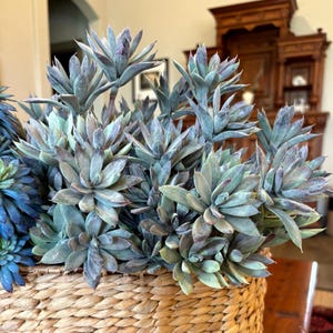 Artificial Sedum Succulent Stem in green and purple 11” long with 6 buds