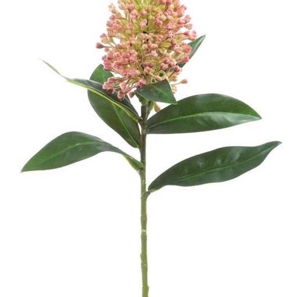 Artificial Pink Skimmia Floral Stem, Sedum Stem