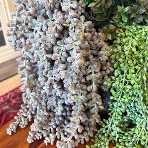 Artificial Succulent stem, ‘Real Touch’  hanging sedum in purple & green color, hanging donkey tail succulent