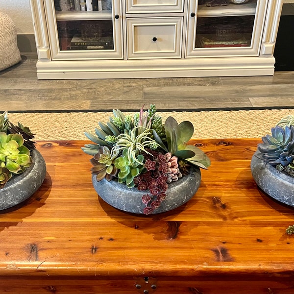 Succulent Centerpiece Etsy