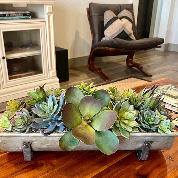 Succulent Centerpiece Etsy