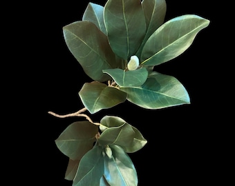 Artificial Magnolia Stem with Two Sprays, Faux Leaves Buds 27.5” Length