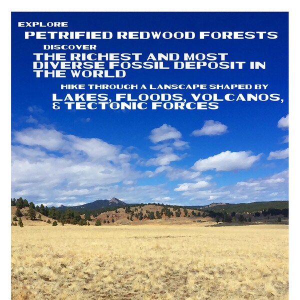 Florissant Fossil Beds National Monument Poster