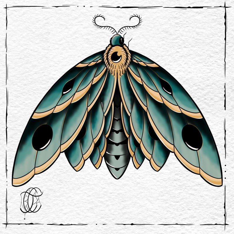 Neo Traditional Moth Stencil's / Brush Set- 13 Pack - Etsy