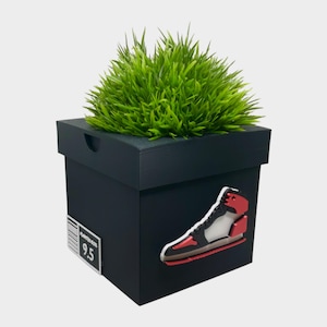 Puede incluir: Una jardinera cuadrada negra con una planta verde. La caja tiene un diseño de zapatilla deportiva y una etiqueta de talla. La jardinera es un artículo decorativo. La etiqueta de talla dice 9,5.