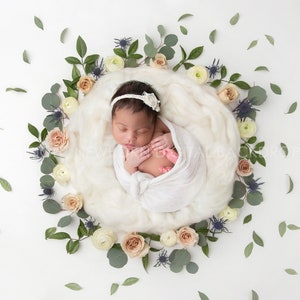 Newborn Digital Backdrop -Breezy Botanical Ring -014