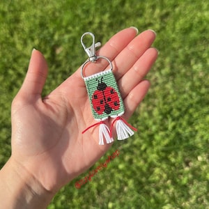May include: A handmade keychain featuring a ladybug design. The ladybug is red with black spots, set against a green background. The keychain has a silver clasp and white and red tassels. The text "@itzylovelyshop" is visible.