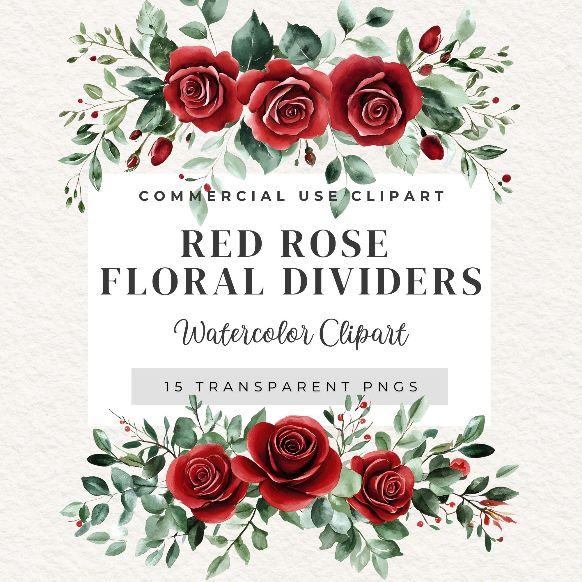 Transparent Red Roses Divider Red Rose Floral Dividers: Watercolor Clipart, Commercial Use, Wedding ...
