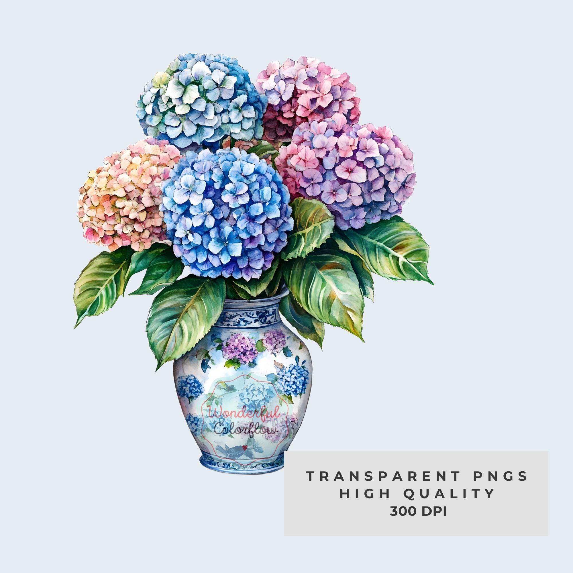 Hydrangea Vase Watercolor Clipart – Floral Bouquets, Jar Flowers PNG ...