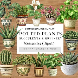 Potted Plants: Succulents & Greenery, Watercolor Clipart, Houseplants, Greenery PNG, Watercolor Plant Pots, Cactus, Houseplants, Greenery